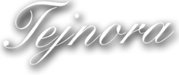 Logo Tejnora